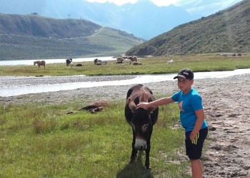 sommer esel st leonhard pitztal