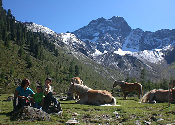 sommer wandern ferienwohnung pitztal